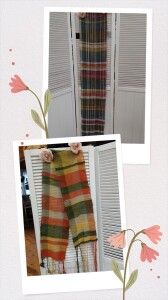 20251116_204757-COLLAGE